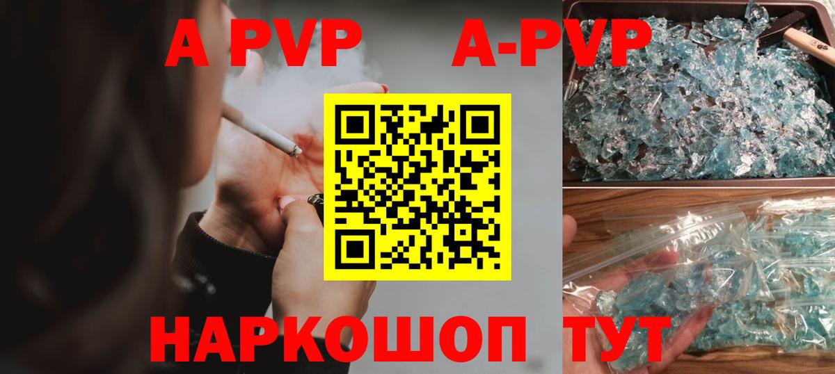 A-PVP СК Великий Новгород