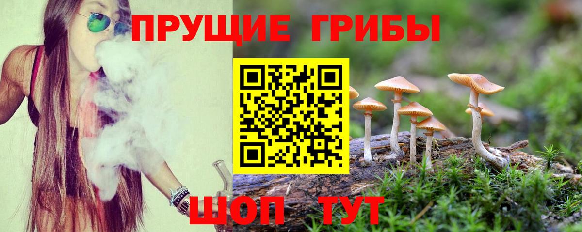 Галлюциногенные грибы прущие грибы Великий Новгород