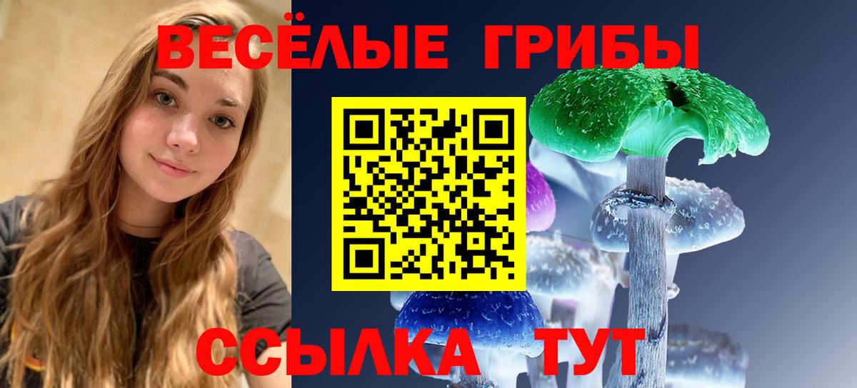 Псилоцибиновые грибы прущие грибы  Вход с VPN  Великий Новгород  Галлюциногенные грибы мицелий 